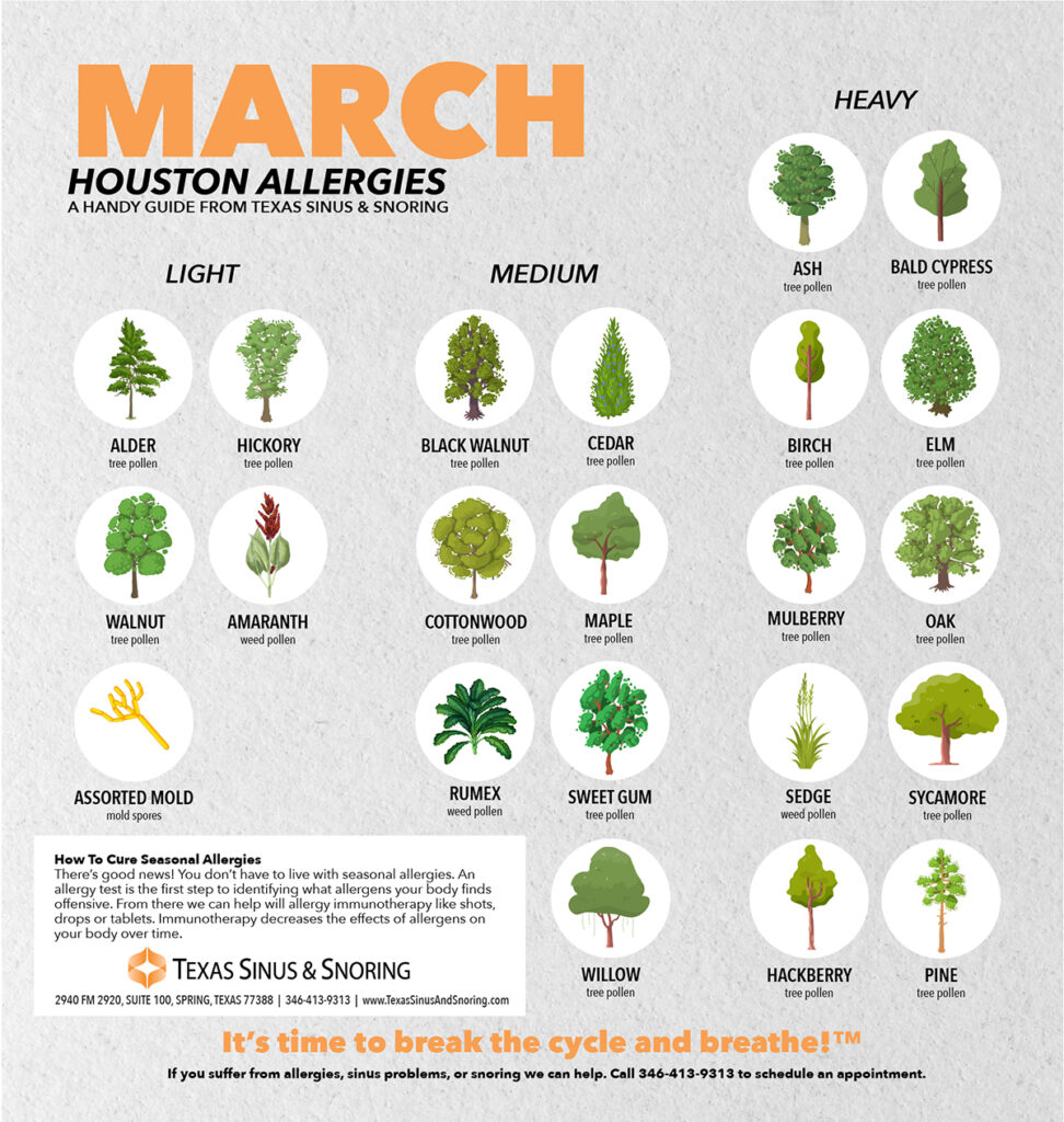 March allergies in houston