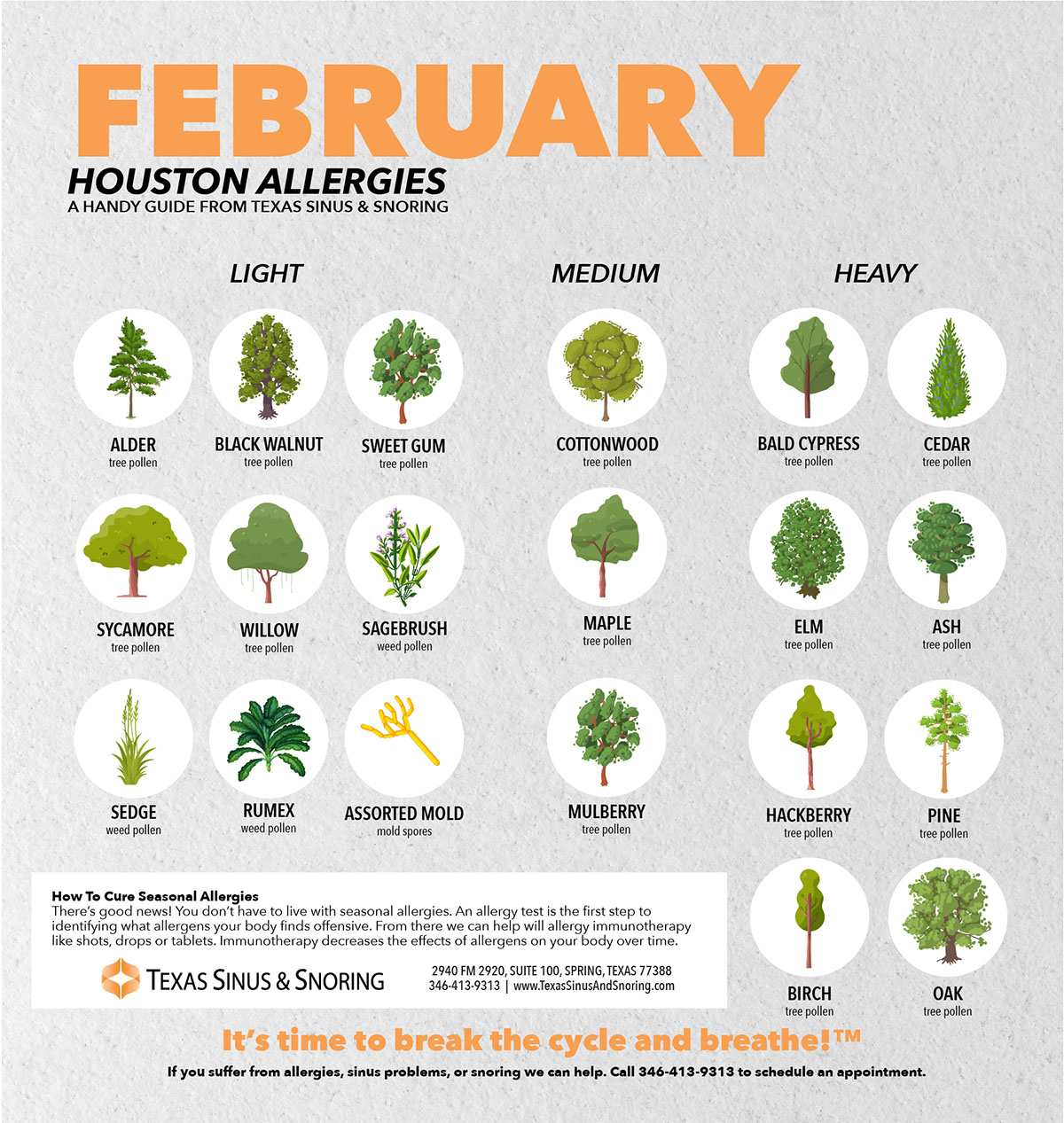 February Allergies Tips to Combat Them in Houston Texas Sinus & Snoring