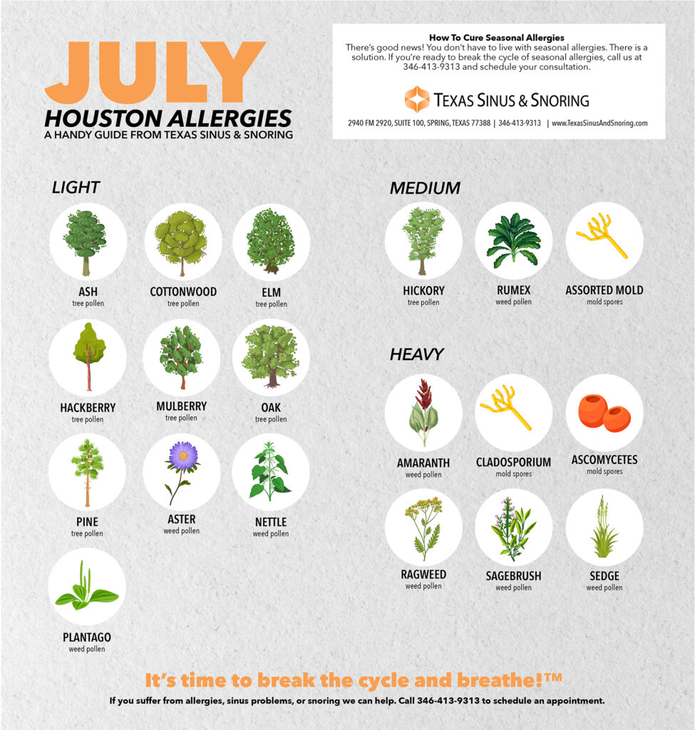 Houston July Allergies