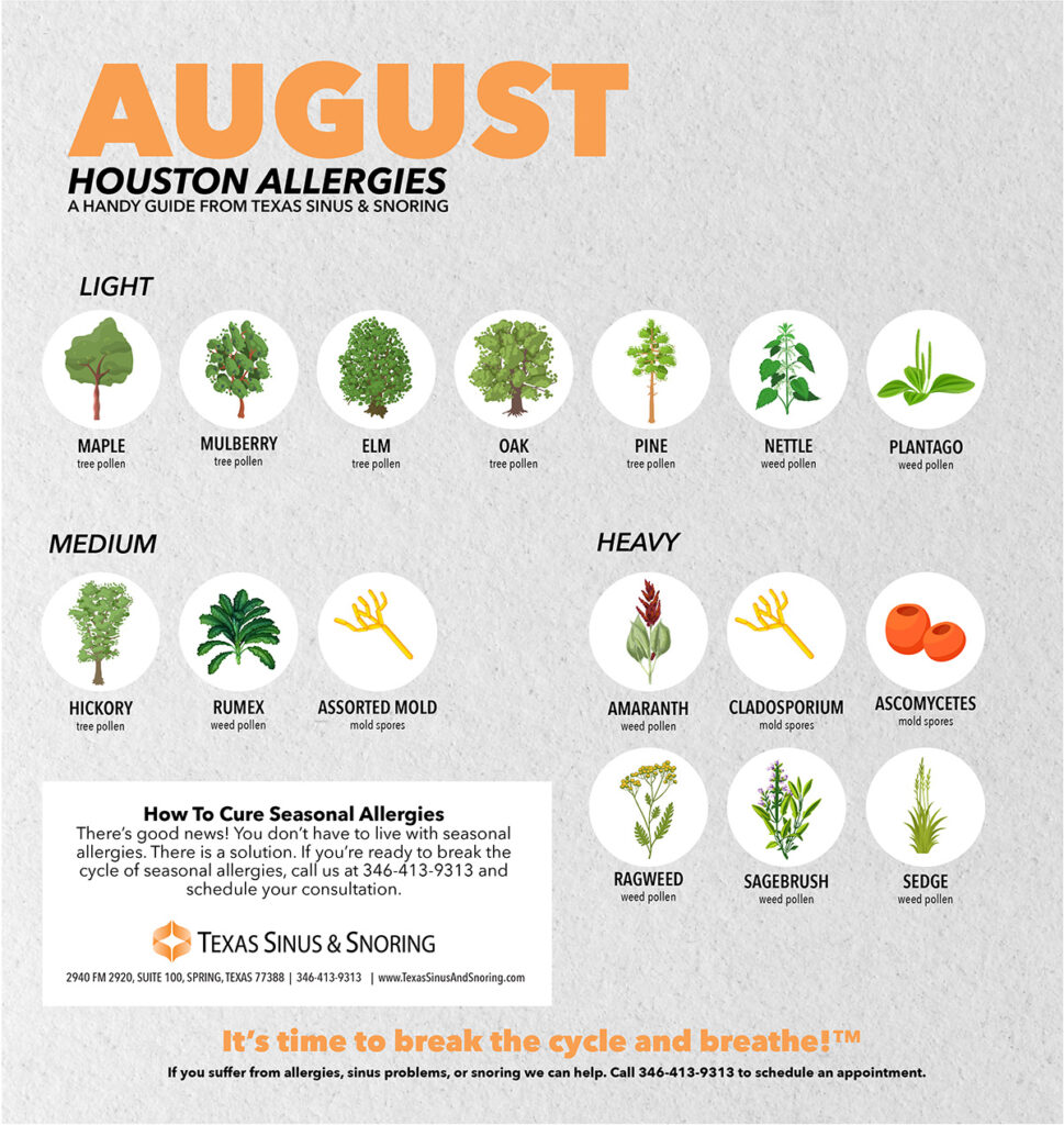 August Allergies in houston, Houston Allergist