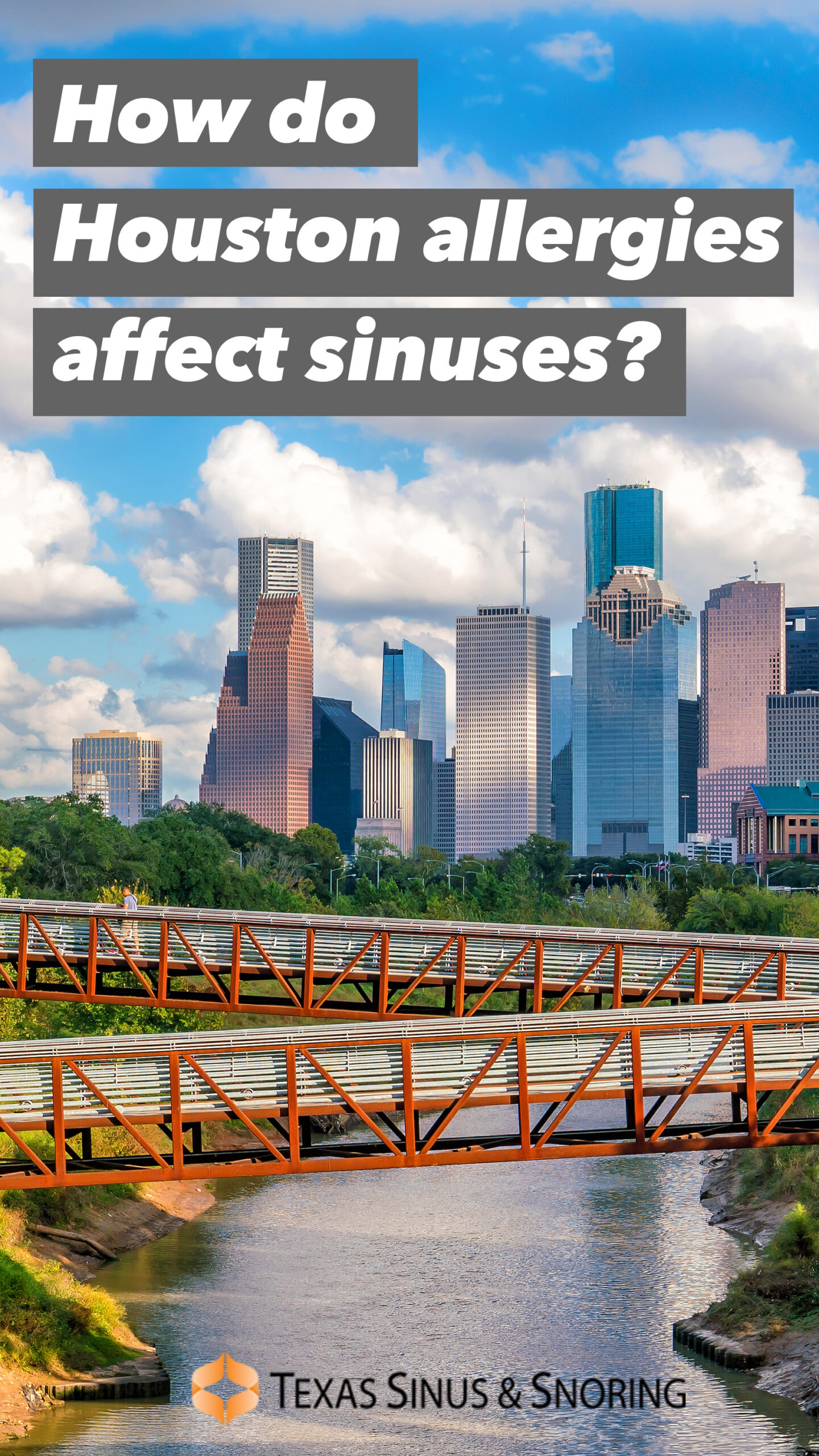 How Do Houston Allergies Affect Sinuses? - From Texas Sinus & Snoring - Houston Skyline
