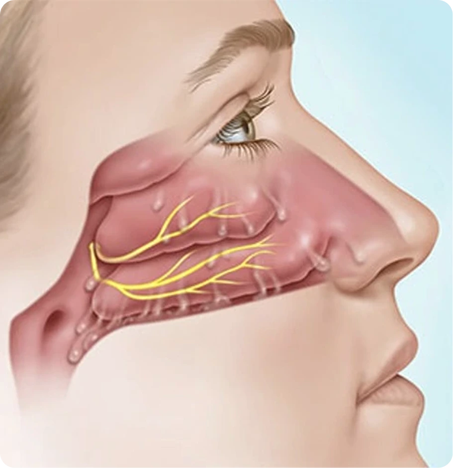 Chronic Rhinitis Treatment in Houston, Texas Banner
