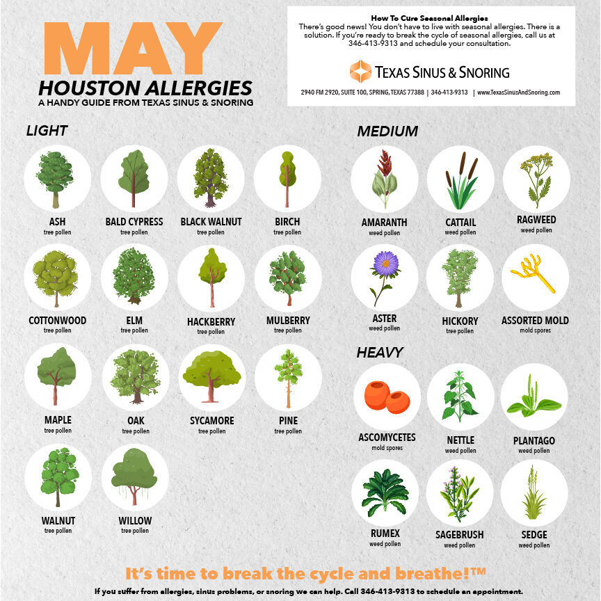 Houston allergies may