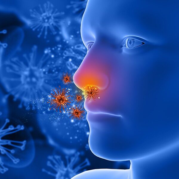 houston allergies nasal congestion